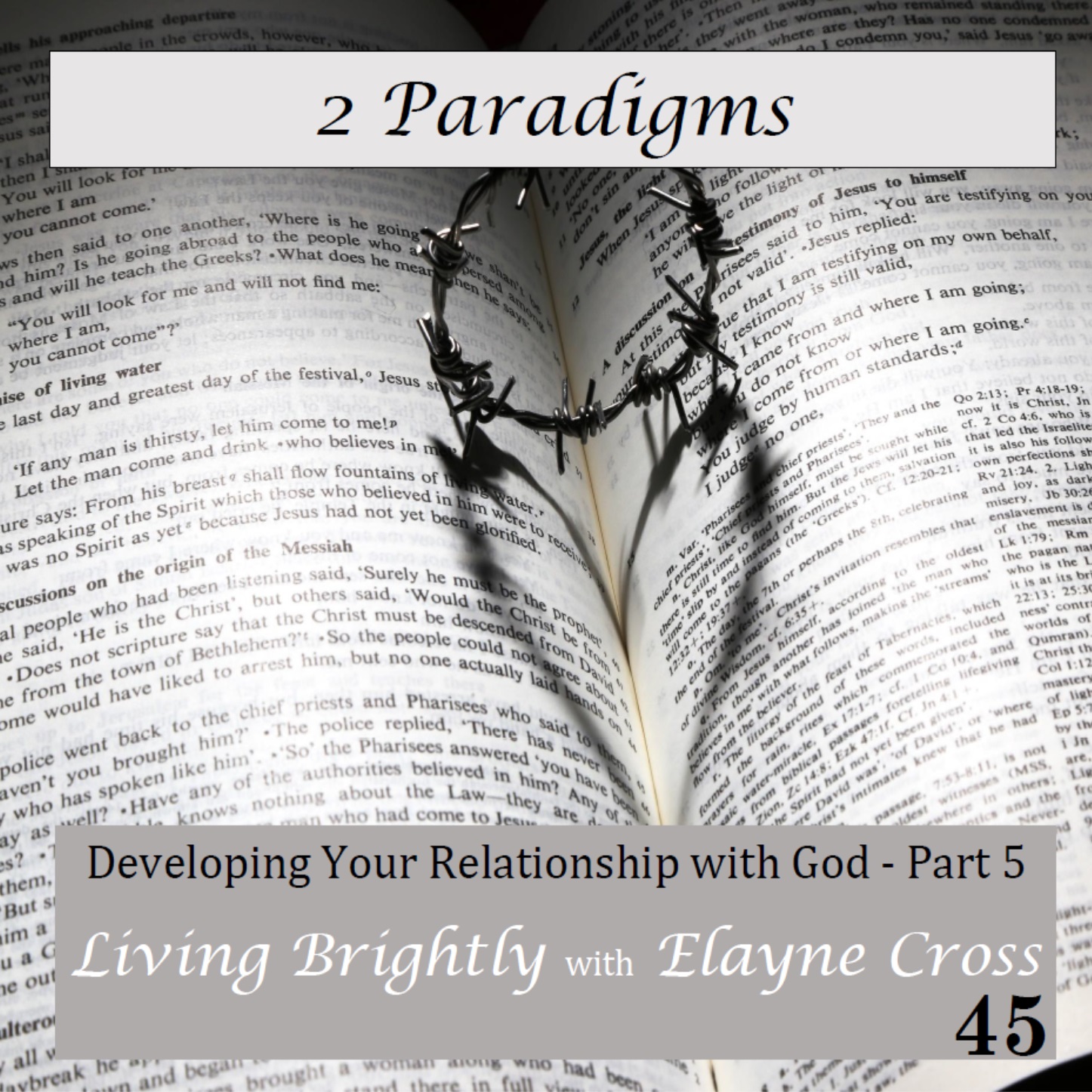 Episode 45 2 Paradigms in Bible